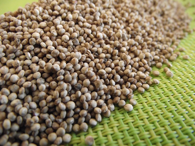 quinoa naturellement sans gluten
