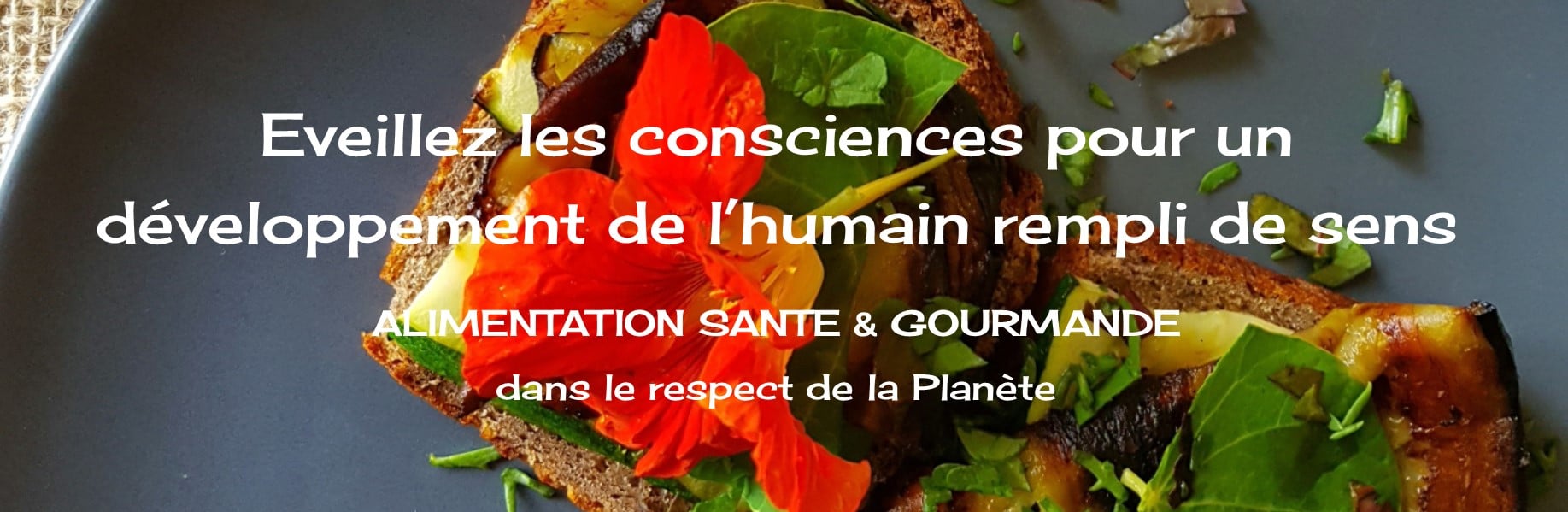 conférences alimentation bien-être formations alimentation